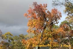 IMG_4701