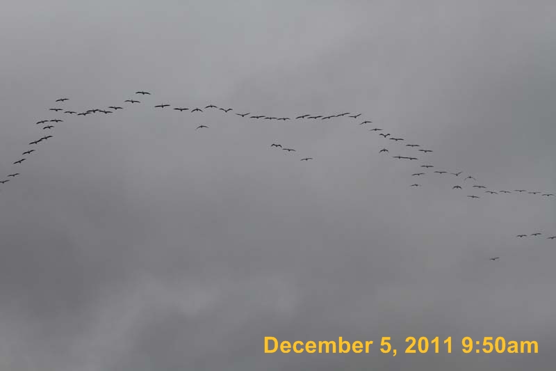 IMG_0256