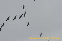 IMG_0263