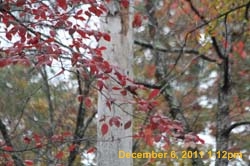 IMG_0276