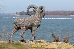 IMG_0014