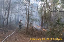 IMG_9804