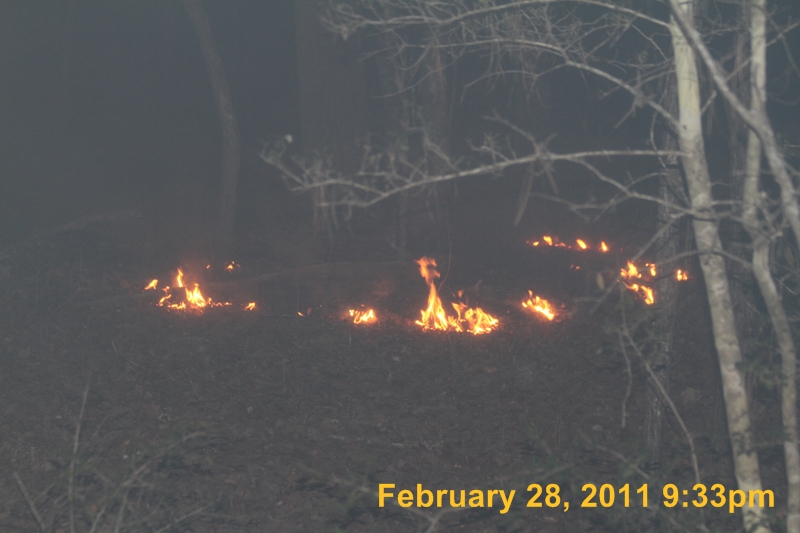 IMG_2126