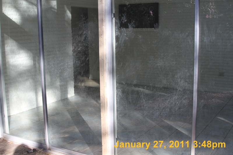 IMG_4237