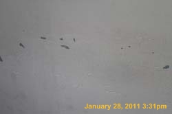 IMG_4282