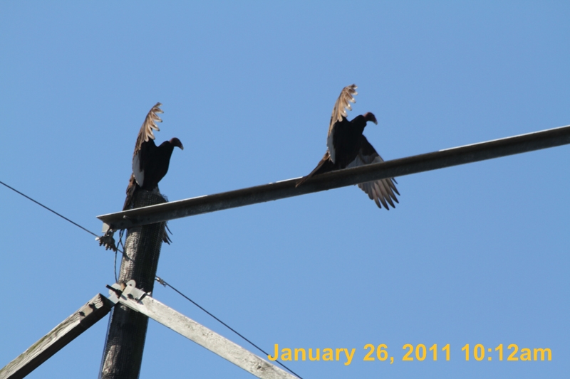IMG_2001