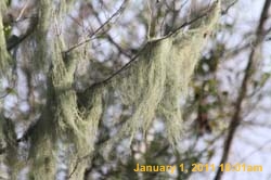 IMG_1729