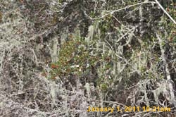 IMG_1754