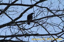 IMG_2009