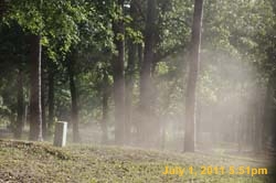 IMG_4716
