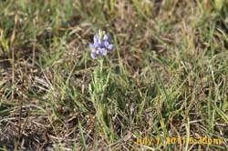 IMG_4746