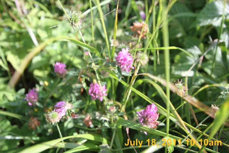IMG_5792