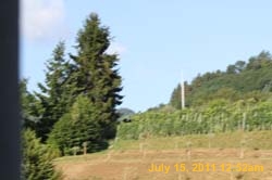IMG_5008