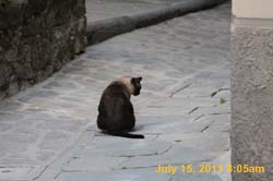 IMG_5089