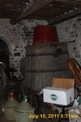 IMG_5096