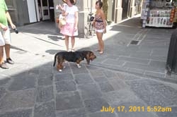 IMG_5480