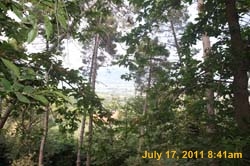IMG_5521
