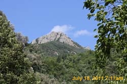 IMG_5699