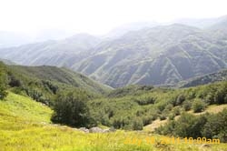 IMG_5790