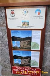 IMG_5795