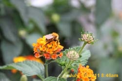 IMG_6126