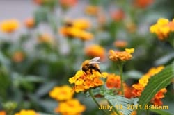 IMG_6127