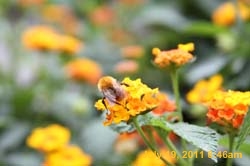 IMG_6128