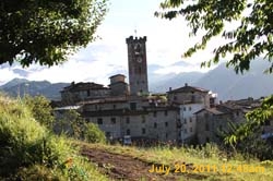IMG_6230