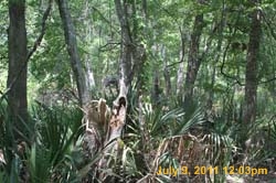 IMG_0549