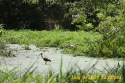 IMG_0551