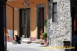 IMG_0692