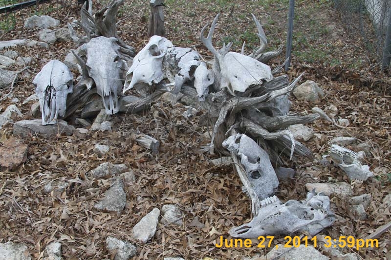 IMG_4652