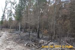 IMG_4551