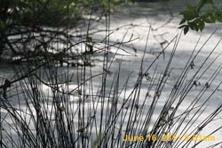 IMG_2994