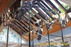 IMG_0323