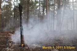 IMG_9886