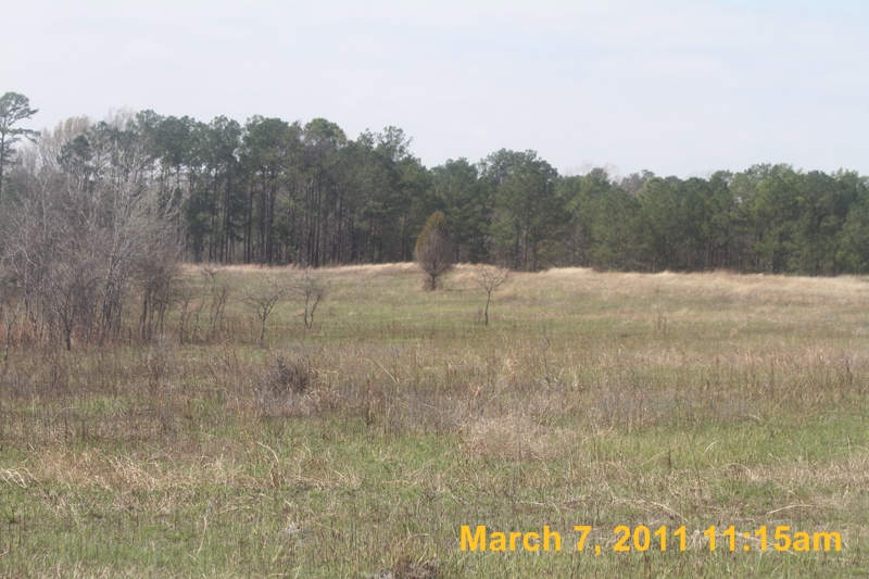 IMG_2383