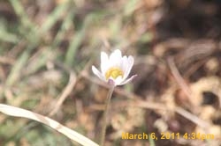 IMG_2206