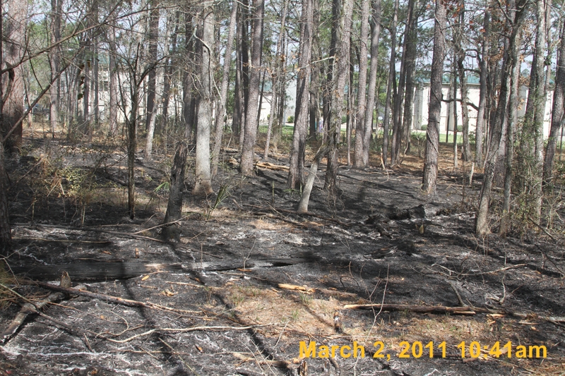 IMG_0030