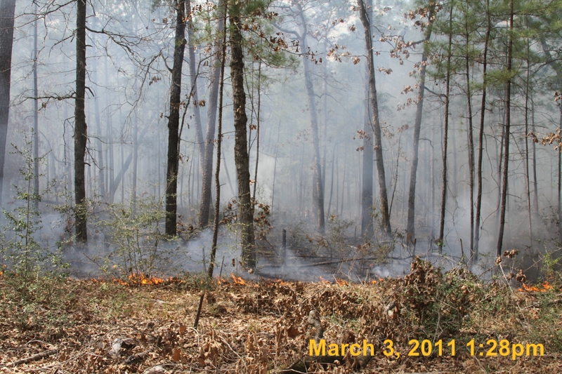 IMG_0344