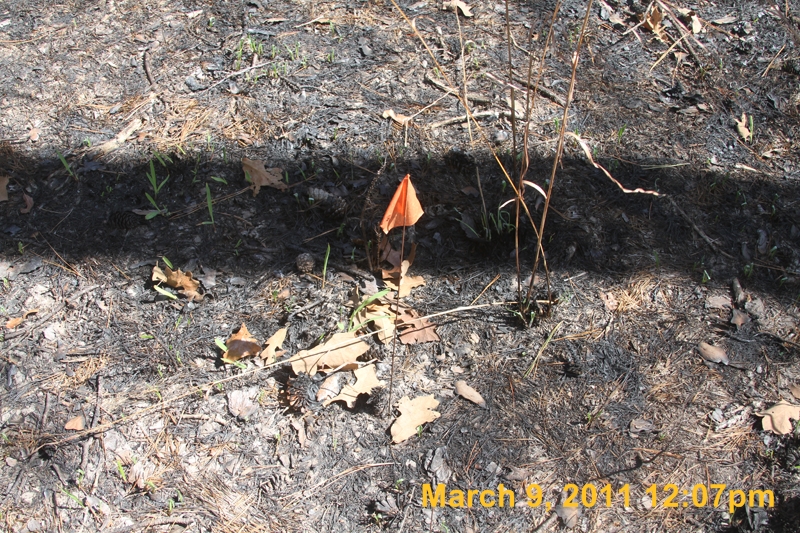 IMG_1539