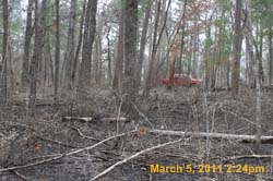 IMG_0738