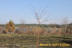 IMG_0831