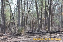 IMG_0999