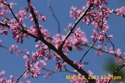 IMG_1219