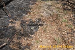 IMG_1510