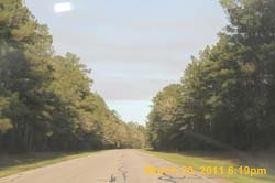 IMG_2148