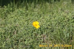IMG_2374