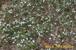 IMG_3657