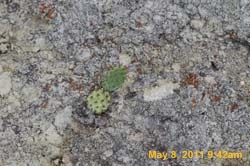 IMG_3669